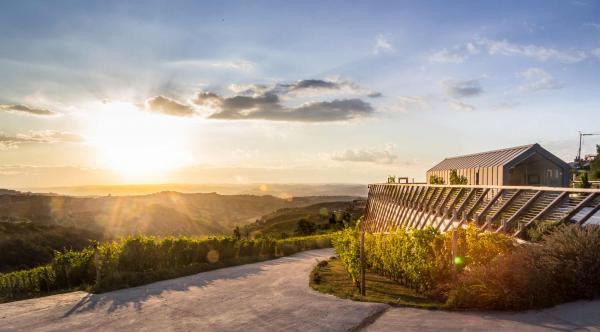 Visita cantina Orlando Abrigo, Treiso